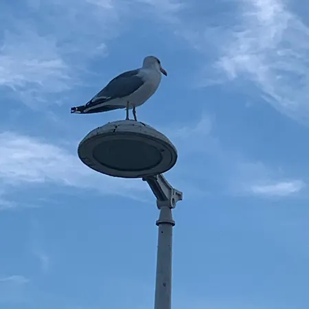 Cap D'agde * Agde